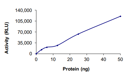 Recombinant human MAP3K1 protein