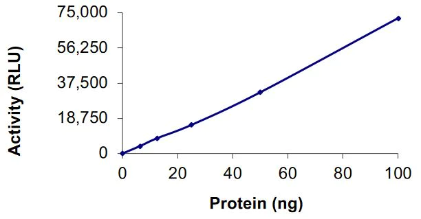 Functional Studies - Recombinant human MAP3K15/ASK3 protein (Active) (AB268353)