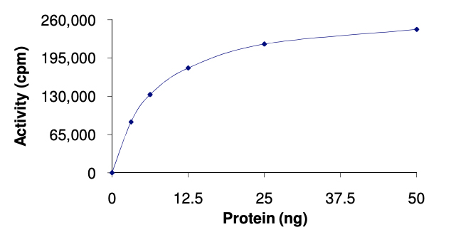 Recombinant human MAP3K8/COT protein