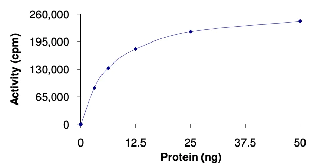 Functional Studies - Recombinant human MAP3K8/COT protein (AB55700)