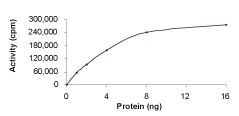 Functional Studies - Recombinant human MAP3K8/COT protein (AB55700)