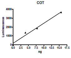 Recombinant human MAP3K8/COT protein (Active)