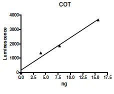 Functional Studies - Recombinant human MAP3K8/COT protein (Active) (GST tag N-Terminus + His tag N-Terminus) (AB271472)