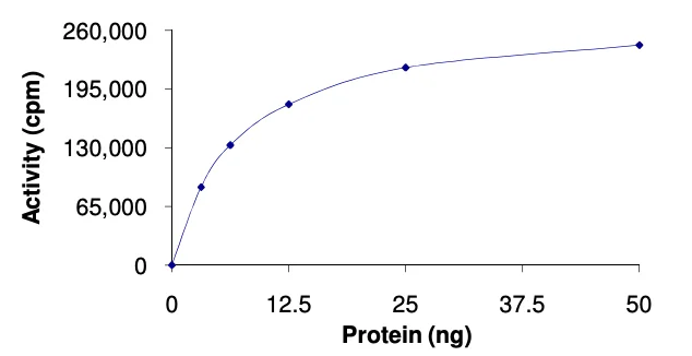 Functional Studies - Recombinant human MAP3K8/COT protein (GST tag N-Terminus) (AB55700)