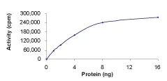 Functional Studies - Recombinant human MAP3K8/COT protein (GST tag N-Terminus) (AB55700)