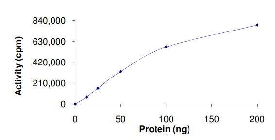 Functional Studies - Recombinant human MAP3K9 protein (AB125554)