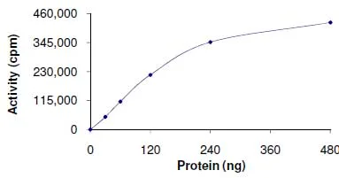 Functional Studies - Recombinant human MAP3K9 protein (GST tag N-Terminus) (AB125554)