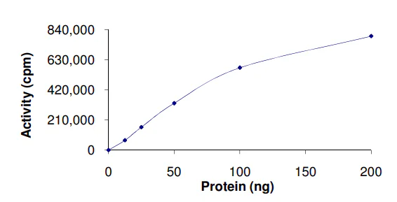 Functional Studies - Recombinant human MAP3K9 protein (GST tag N-Terminus) (AB125554)