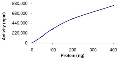 Functional Studies - Recombinant human MAP4K1/HPK1 protein (AB107953)