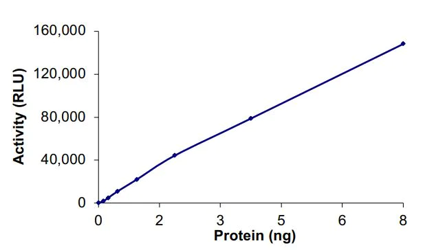 Functional Studies - Recombinant human MAP4K1/HPK1 protein (Active) (AB268641)
