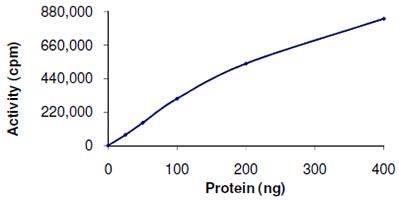 Functional Studies - Recombinant human MAP4K1/HPK1 protein (AB107953)