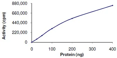 Functional Studies - Recombinant human MAP4K1/HPK1 protein (GST tag N-Terminus) (AB107953)