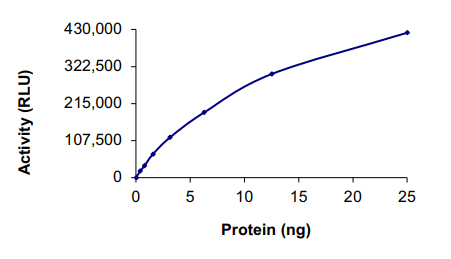 Functional Studies - Recombinant human MAP4K1/HPK1 protein (GST tag N-Terminus) (AB107953)