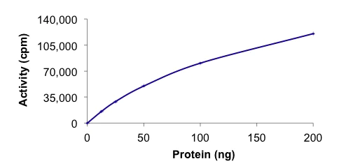 Functional Studies - Recombinant human MAP4K3/GLK protein (Tagged) (AB177265)