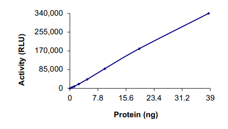 Functional Studies - Recombinant human MAP4K3/GLK protein (Tagged) (AB177265)