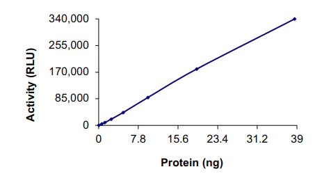 Functional Studies - Recombinant human MAP4K3/GLK protein (Tagged) (AB177265)