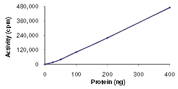 Functional Studies - Recombinant human MAP4K4/NIK protein (AB101775)