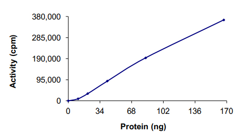 Recombinant human MAP4K4/NIK protein