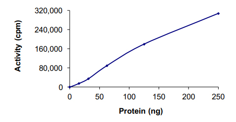 Functional Studies - Recombinant human MAP4K5 protein (AB56636)