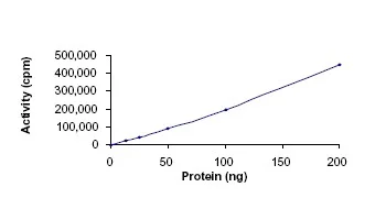 Functional Studies - Recombinant human MAP4K5 protein (GST tag N-Terminus) (AB56636)