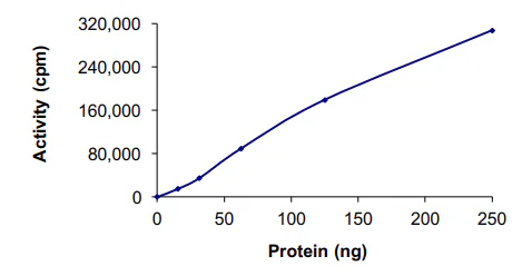Functional Studies - Recombinant human MAP4K5 protein (GST tag N-Terminus) (AB56636)