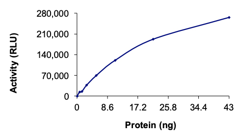 Recombinant human MAP4K6 protein