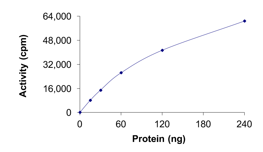 Functional Studies - Recombinant human MAPK6/ERK3 protein (AB217835)