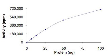 Functional Studies - Recombinant human MARK2 protein (AB119135), expandable thumbnail