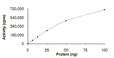 Functional Studies - Recombinant human MARK2 protein (AB119135)