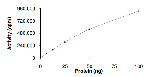 Functional Studies - Recombinant human MARK2 protein (AB119135), expandable thumbnail