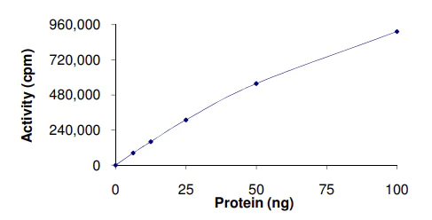 Functional Studies - Recombinant human MARK2 protein (AB119135)