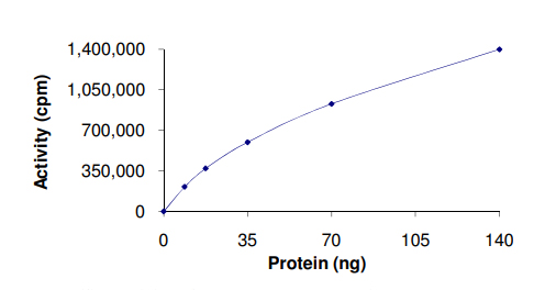 Functional Studies - Recombinant human MARK4 protein (AB105211), expandable thumbnail