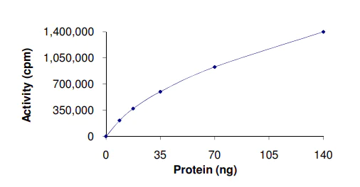 Functional Studies - Recombinant human MARK4 protein (AB105211)