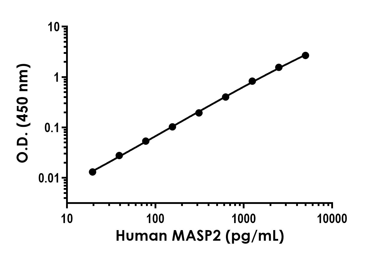 Sandwich ELISA - Recombinant Human MASP2 Protein Standard (His tag) (AB316432), expandable thumbnail