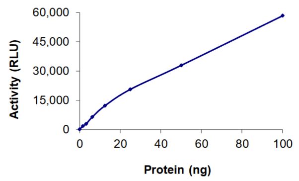 Recombinant human MAST3 protein (Active)