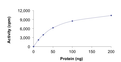 Functional Studies - Recombinant human MATK protein (AB204136), expandable thumbnail