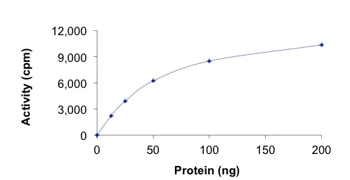 Functional Studies - Recombinant human MATK protein (AB204136)