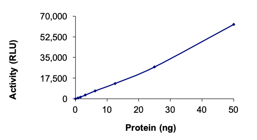 Functional Studies - Recombinant human MATK protein (AB204136), expandable thumbnail