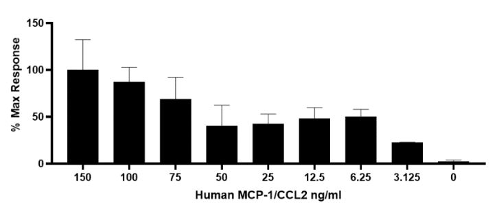 Functional Studies - Recombinant human MCP1 protein (Active) (AB270081), expandable thumbnail
