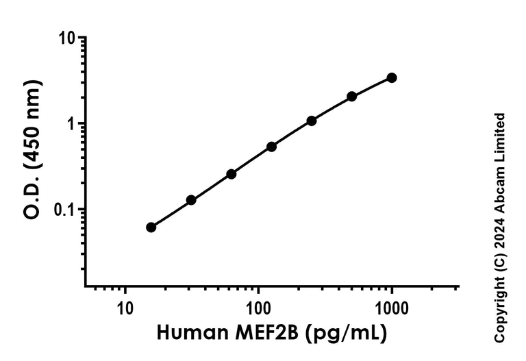 Sandwich ELISA - Recombinant Human MEF2B Protein Standard (His tag) (AB323101)