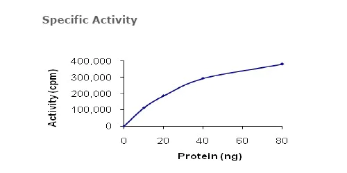 Functional Studies - Recombinant human MEK1 protein (AB63209)