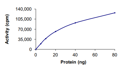 Functional Studies - Recombinant human MEK1 protein (AB63209)