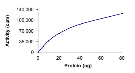 Functional Studies - Recombinant human MEK1 protein (AB63209)