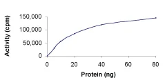 Functional Studies - Recombinant human MEK2 protein (AB60013)
