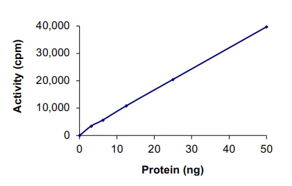 Functional Studies - Recombinant human MEK2 protein (AB60013)