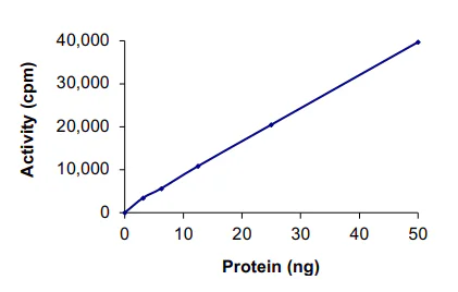 Functional Studies - Recombinant human MEK2 protein (GST tag N-Terminus) (AB60013)