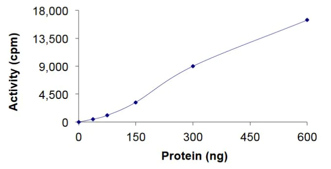 Functional Studies - Recombinant human MEK4/MKK4 protein (Active) (AB268754)