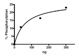 Functional Studies - Recombinant human MEKK2 protein (AB135009)