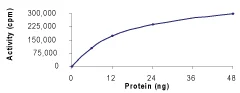 Functional Studies - Recombinant human MEKK2 protein (AB85299)