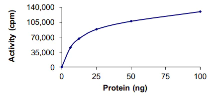 Functional Studies - Recombinant human MEKK2 protein (AB85299)